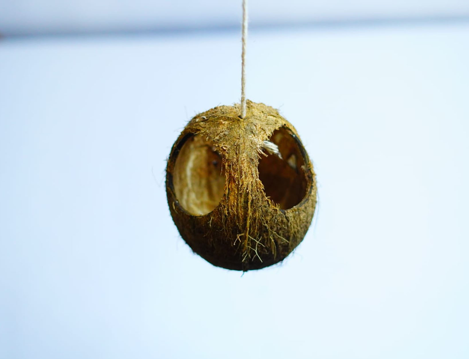 Hanging pot type 2